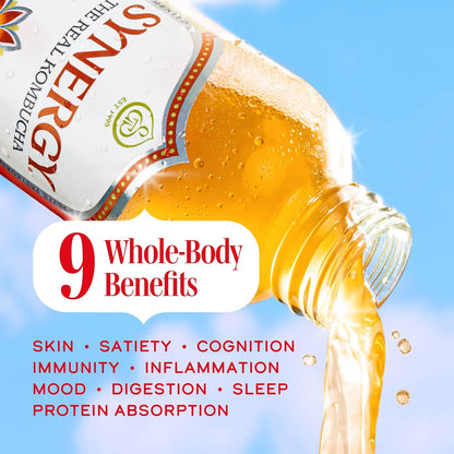 the Real Kombucha - Gingerade - 16 Fl Oz Bottle - Raw Probiotic Drink for Gut Health and Immune Support4