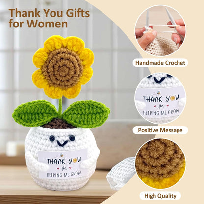 Teacher Gifts for Women, Back to School Teacher Gifts First Day of School | Teacher Appreciation Gift, Thank You Gift Bulk Basket End of Year for Thanksgiving with 16Oz Glass Cup3