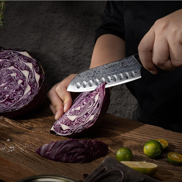 FANTECK Santoku Knife 5 Inch Damascus Japanese Steel Kitchen Knife,Vg10 67-Layer High Carbon Full Tang Best Chef Santoku Knives for Pro Chef&Restaurant, Blue G10 Handle,Gift Box&Sheath3