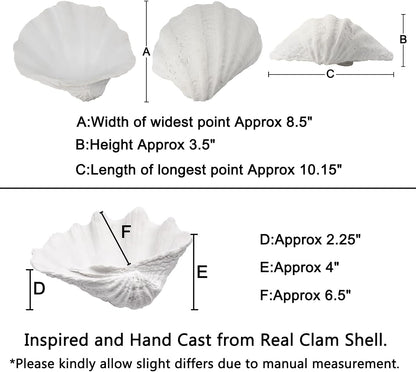 Medium White Scalloped Clam Shell Bowl Sea Shell Decor for Nautical Beach House,Coastal Decor Gift of Housewarming and Wedding Party2