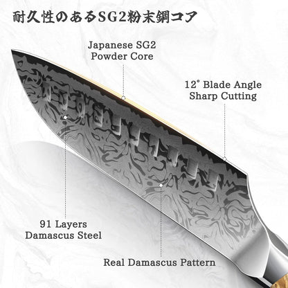 Damascus Chef Knife, SG2 Powder Steel Japanese Kitchen Knife3