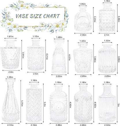 12Pcs Glass Bud Vase Set, Clear Small Flower Vases for Centerpieces3