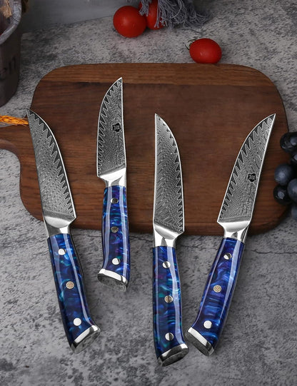 Steak Knives, 5 Inch Non Serrated Steak Knife Set of 4, Japanese Damascus VG10 Steel Steak Knives,Premium Steak Knives Set with Gift Box7