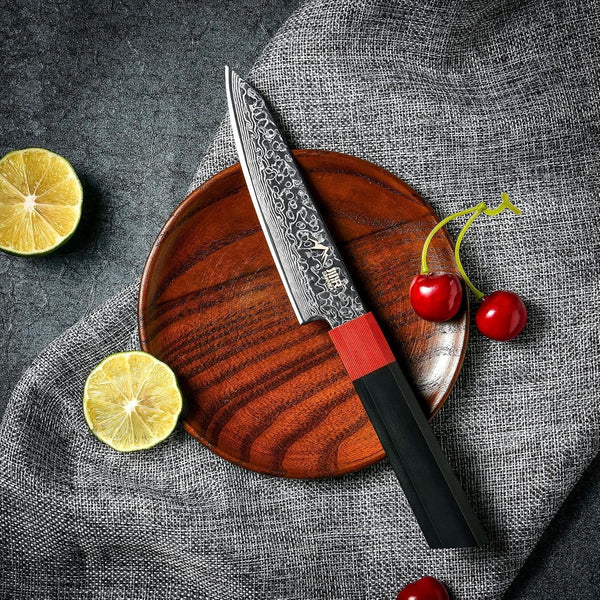 Kiritsuke Chef Knife 5 Inch, Japanese Damascus Knife 67-Layer Steel with G10 Handle - Sharp VG-10 High Carbon Stainless Steel for Home and Kitchen2