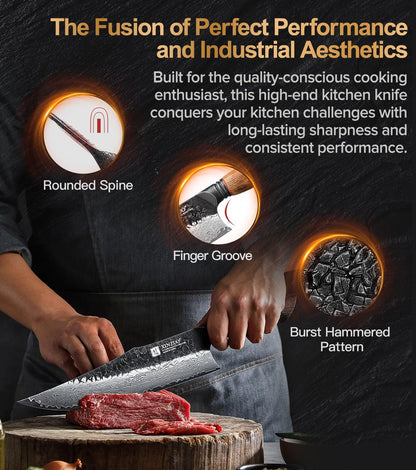 10 Inch Professional Chef Knife,67 Layers 10Cr15Comov High Carbon Damascus Steel Knife for Kitchen,Very Sharp，White Oak + Red G10 Gasket Handle4