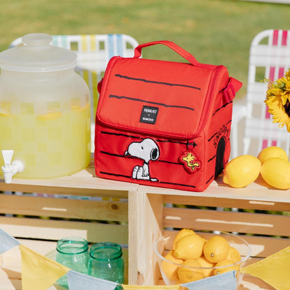 Snoopy’S House 16-Can Lunch Pail12