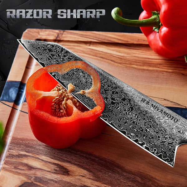 8-Inch Japanese Damascus Chef Knife, 67-Layer Steel, Ultra-Sharp High Carbon Blade with Resin Handle for Precision Chopping and Carving4
