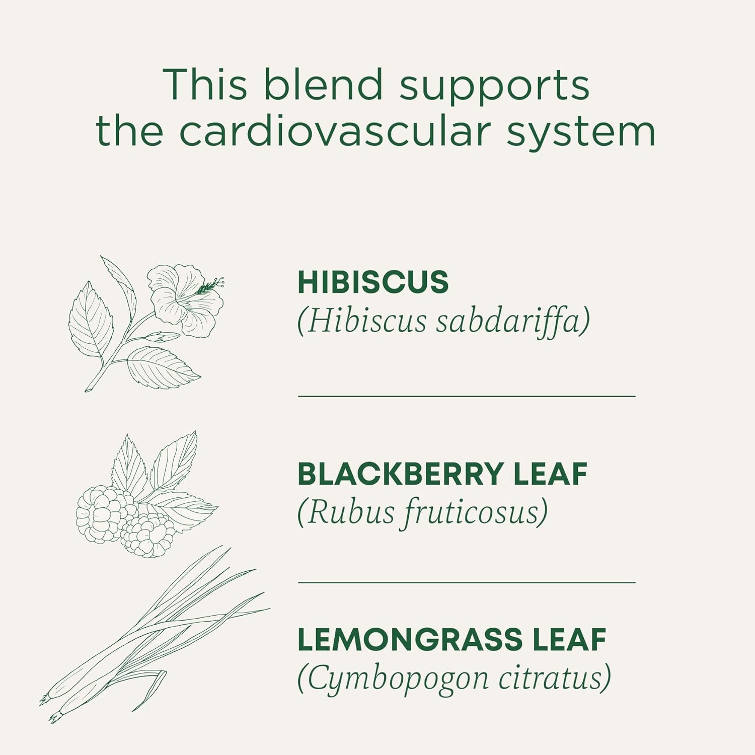 organic-hibiscus-tea-supports-normal-heart-health-cardiovascular-wellness-kosher-non-gmo-caffeine-free-compostable-16-tea-bags-supports-immune-function-kosher-non-gmo-caffeine-free-compostable
