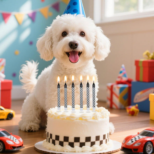 12Pcs Race Car Birthday Candles Cake Topper for Birthday Party Decorations5