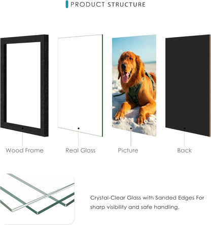4X6 Solid Wood Collage Frame 12 Pack Glass Assembly Required Black3