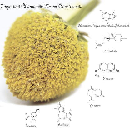 Chamomile Tea 1LB (16Oz) 100% CERTIFIED Organic (USDA Seal) Chamomile Flowers Herbal Tea (Matricaria Chamomilla) in 1 Lb Bulk Bpa-Free Resealable Bags from U.S. Wellness4