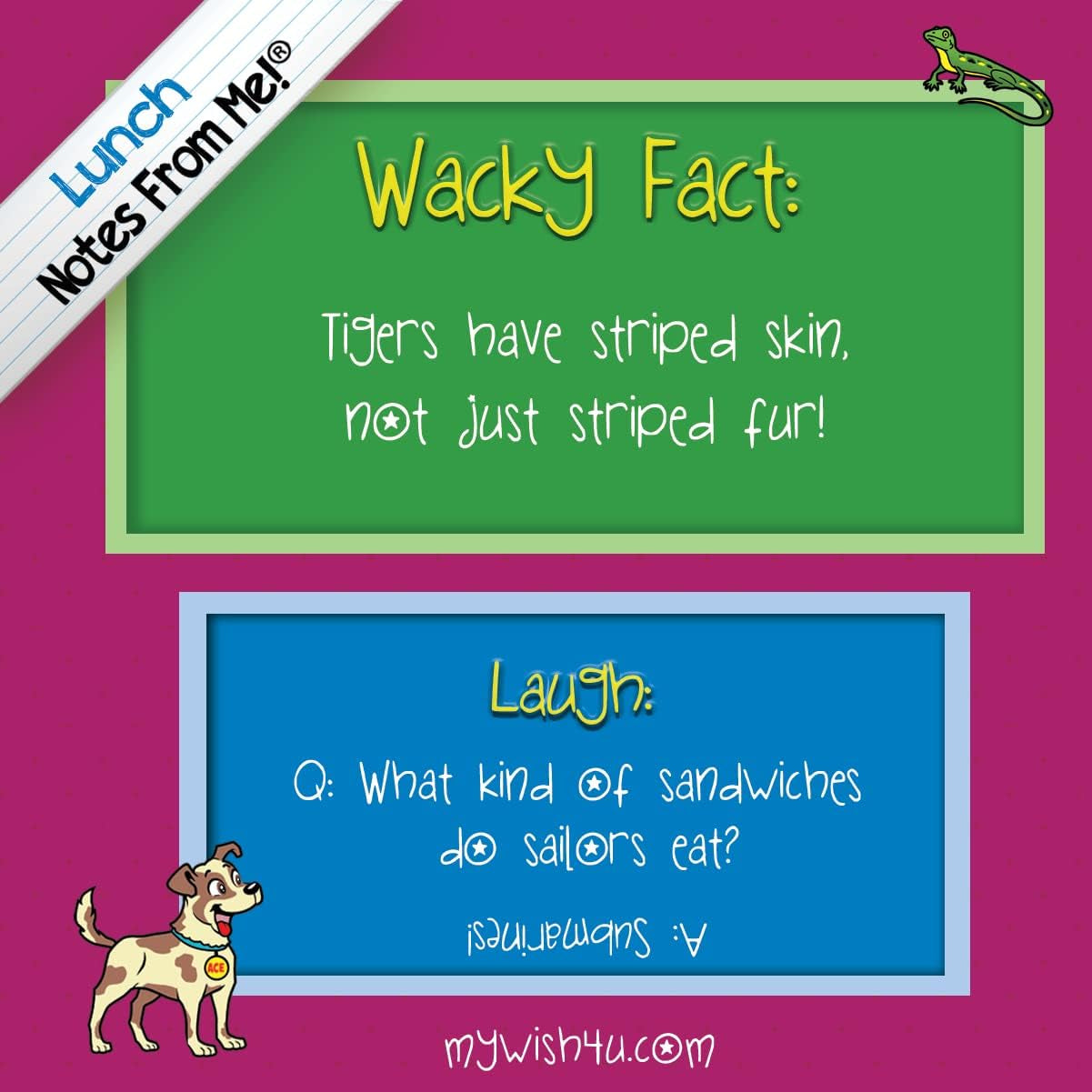 101-tear-off-lunch-box-notes-for-kids-wacky-facts-laughs-inspirational-motivational-thinking-of-you-jokes-for-kids-back-to-school-essentials-ages-8
