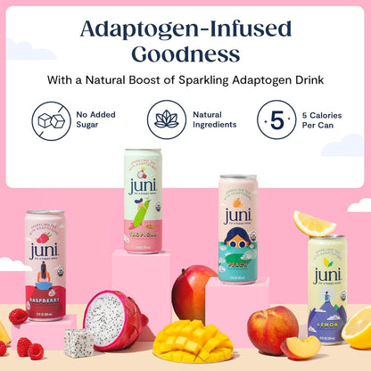 Sparkling Adaptogen Drink, Non Alcoholic Mocktail, Variety 12 Pack | Ashwagandha, Lion’S Mane & Reishi Mushrooms, Green Tea for Focus, Zero Sugar, Organic3