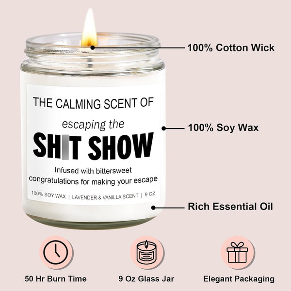 Sarcastic Candles, Going Away, Goodbye, Farewell Gifts for Coworkers - Retirement, Coworker Leaving Gifts for Women, Men - Leaving Job, Moving Away Presents for Friends, Boss, Work Bestie2